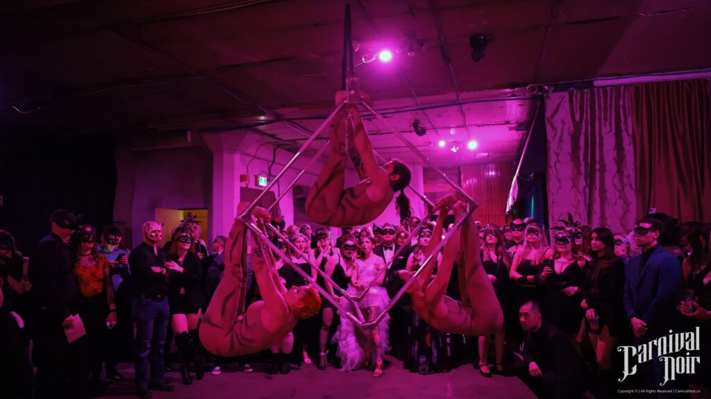 Elegant pole dance performers creating a captivating aerial routine at Velvet Edge Entertainment.