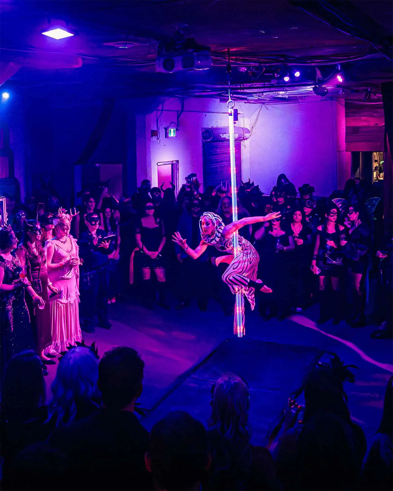 A dancer performs on a pole in front of a large audience at Velvet Edge Entertainment, illuminated by vibrant purple and blue stage lighting, creating an energetic and captivating atmosphere.